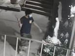 Bearded man filmed vaulting into NYC Catholic Church yard to smash statue of Virgin Mary to smithereens with hammer