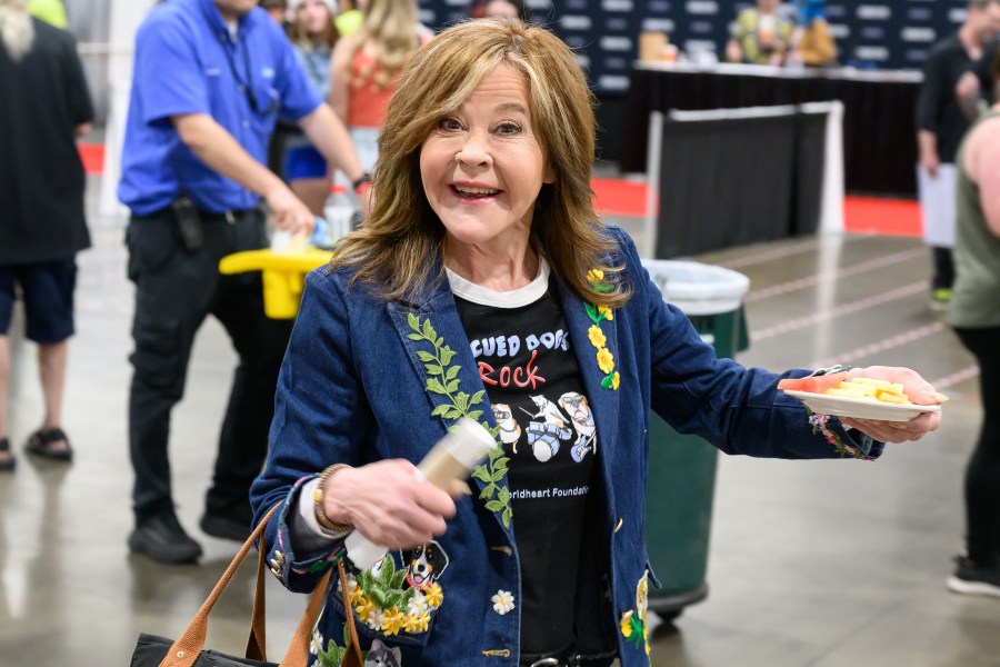 Linda Blair's unlicensed dog kennel cited by L.A. County