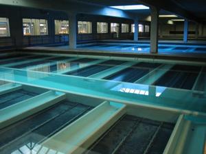 Fluoride in Milwaukee drinking water halved due to supply shortage