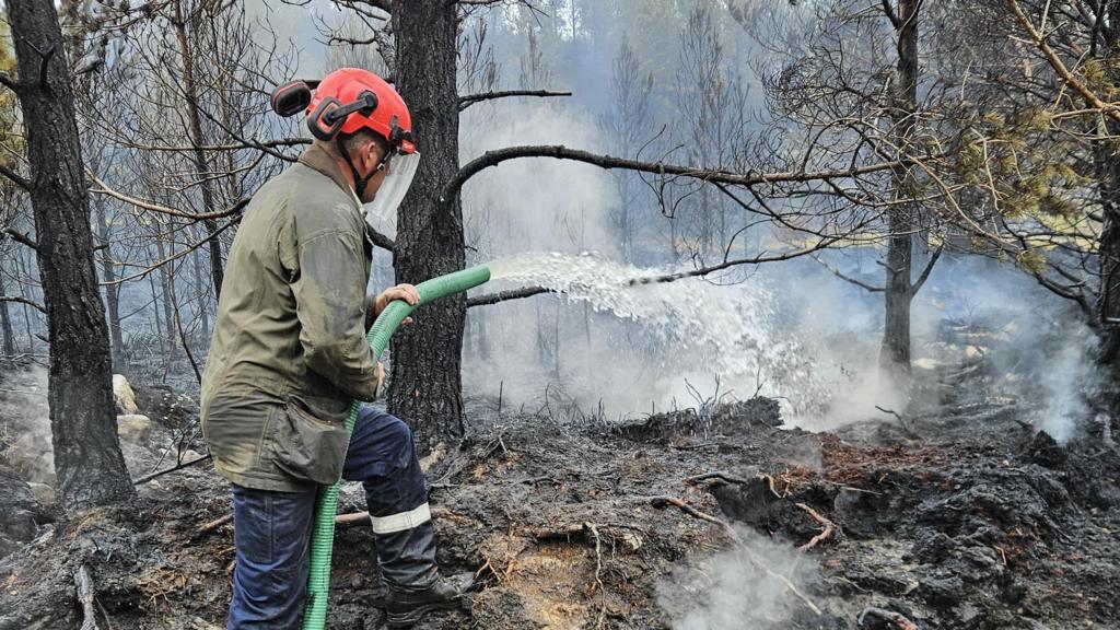 Firms affected by Cairngorms wildfire offered support from £3m fund