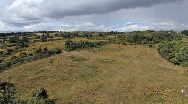 ‘This is not about stopping housing’: Why locals object to Dunsink town proposal