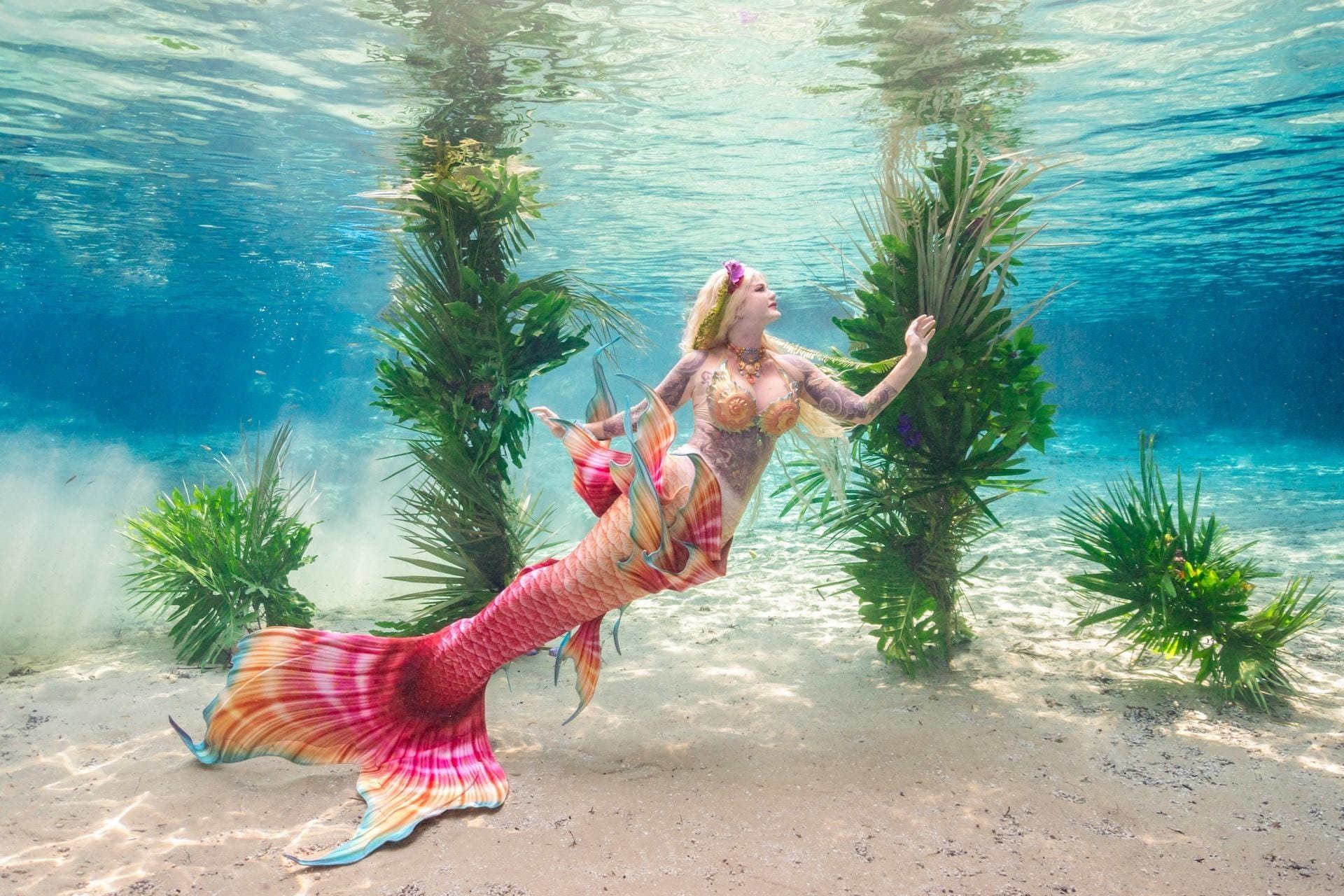 Mermaid Springs