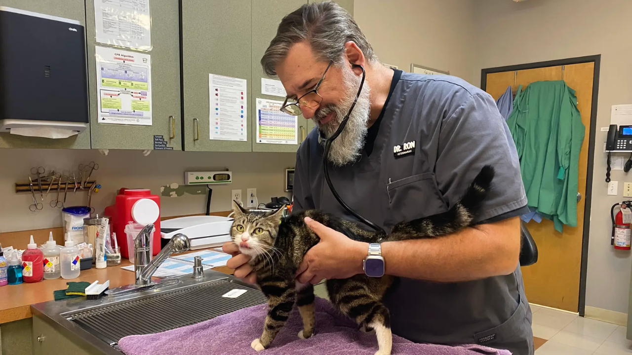 Oregon vet left $150K job to soft-retire; relief work now pays twice as much