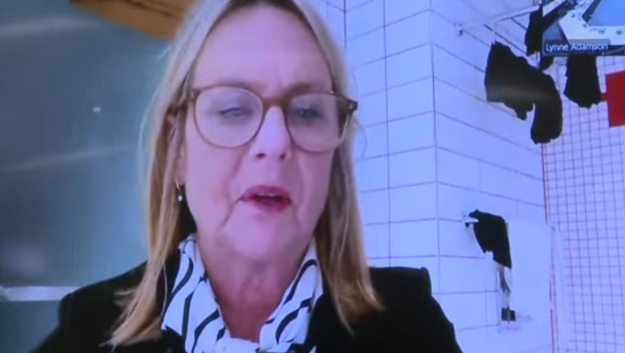 Dunedin councillor’s Zoom call from bathroom makes global headlines