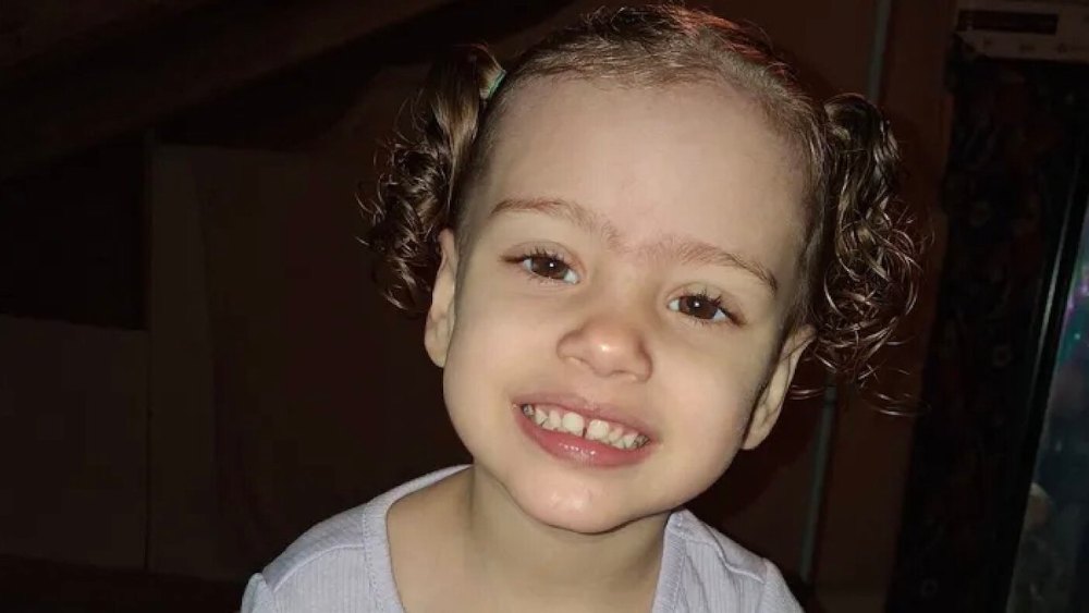 3 People Charged After Girl, 2, Was Killed By a Neighbor's Loose Dog