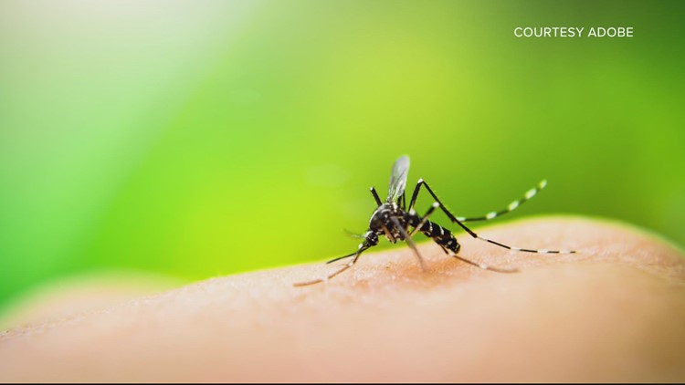 Unscheduled mosquito control in Prince George's County