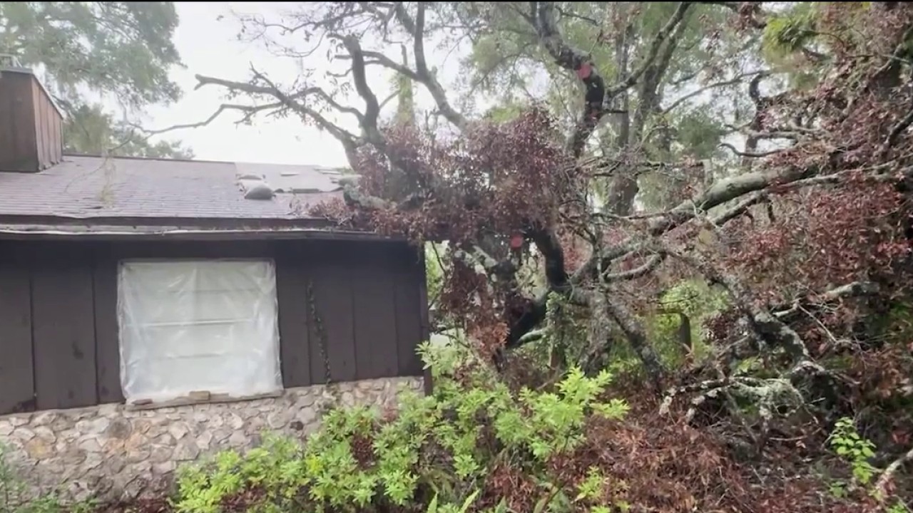 Storms topple trees, damage homes in Ocala neighborhood