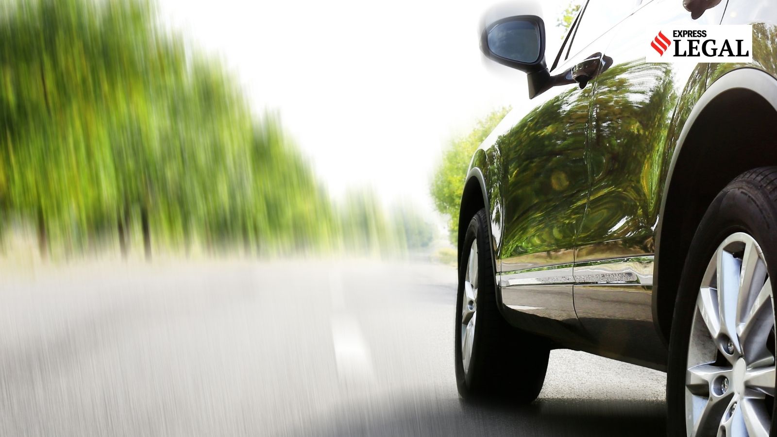 Car ‘damaged’ trying to avoid stray dog, man wins Rs 2.3 lakh from insurance firm, repair shop