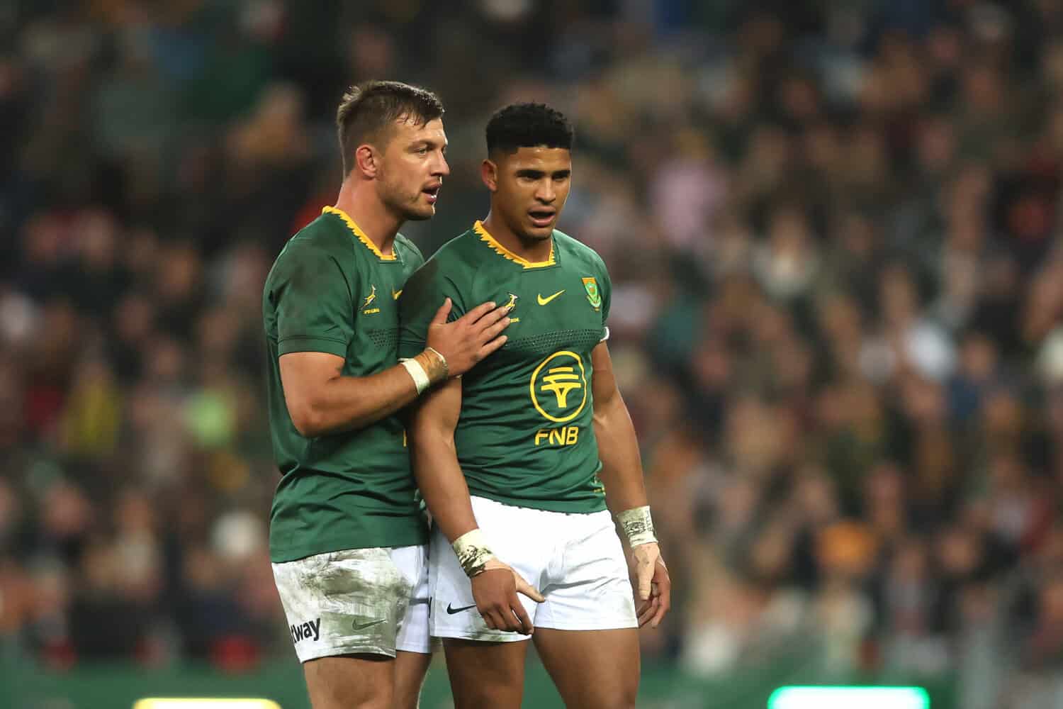 No competition for Bok No 10 jersey, only support, says Sacha