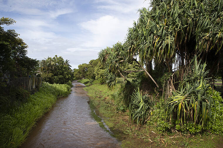 Off the news: Manoa Stream readied to weather storm