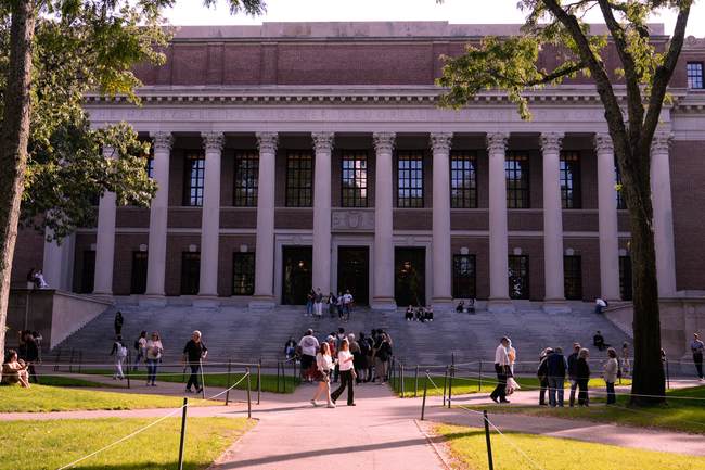 The Problem Is Not Just DEI or Academic Fraud; Academic Standards Are Gone