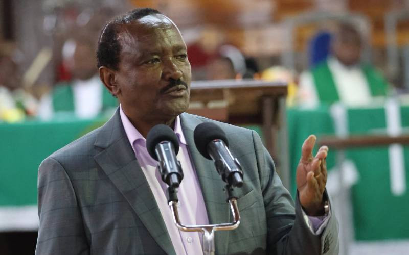 Stop threatening us with election postponement, Kalonzo tells IEBC