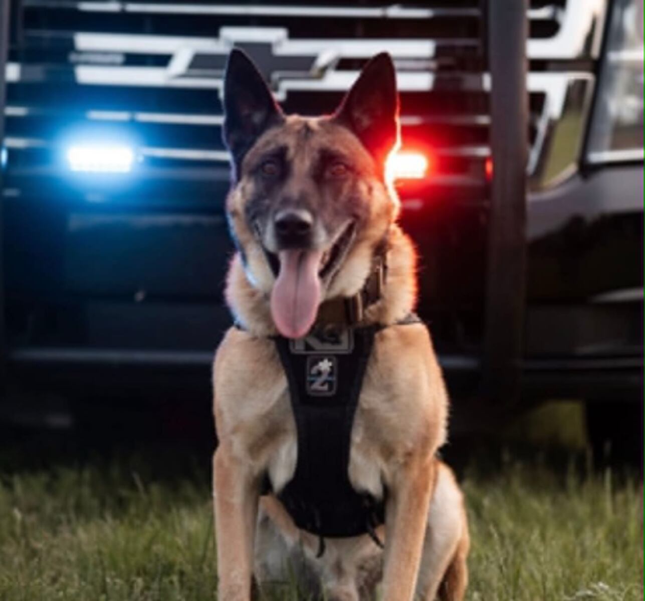 Buena Vista Township party leads to men charged with throwing bottle at police, harassing K-9