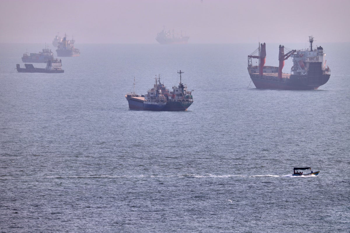Ships stuck in the Strait of Hormuz risk creating global biosecurity ‘super-spreader’ event