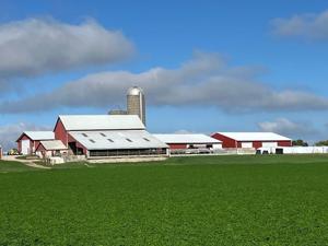 Dairy, E15 and specialty crops: What's in the Senate Farm Bill for Wisconsin?
