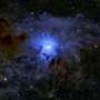 XENONnT detector narrows the hunt for dark matter