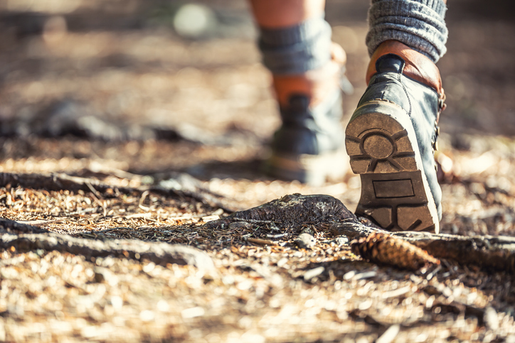 Why do Bourbon disease and rabbit fever seem to be suddenly hitting NY?