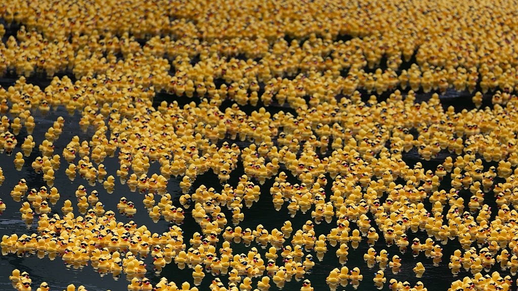 90K rubber ducks float down Chicago River