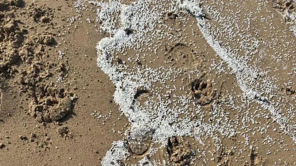 Government criticised over plastic spill response