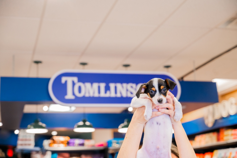Pet store Tomlinson's Feed coming to Georgetown