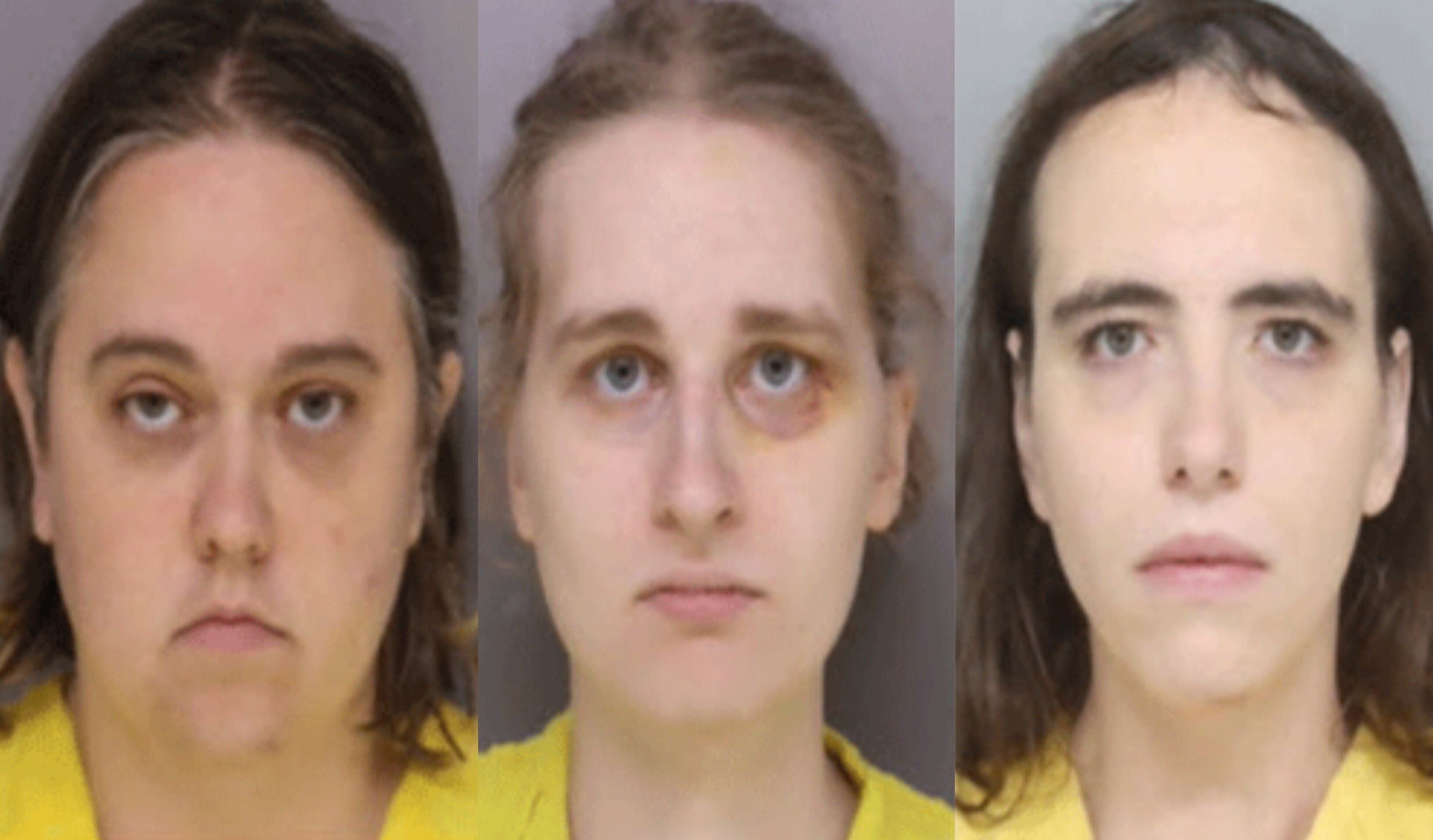 ‘Disturbing’: Mother, 2 others arrested after 7-year-old was found duct-taped and dead inside closet, police say