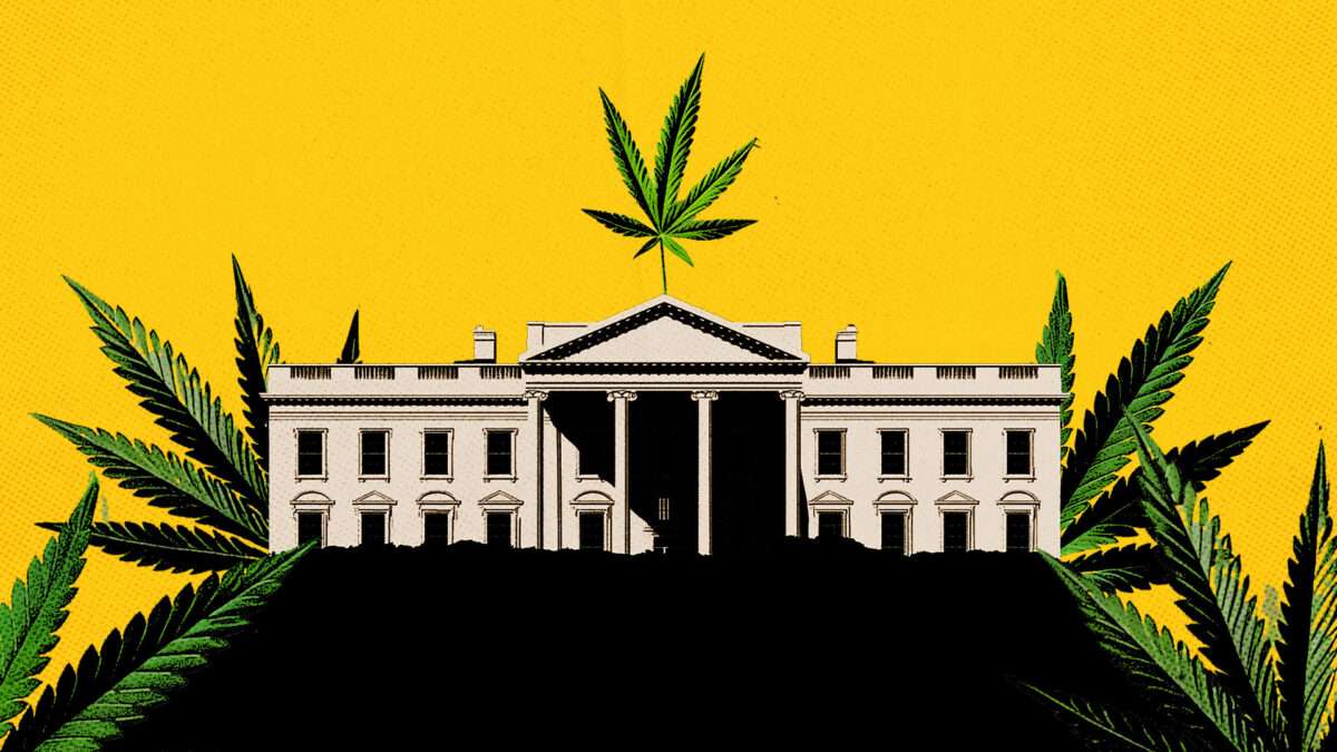 The White House's Push To Pause the Hemp Ban Smells Like Cronyism