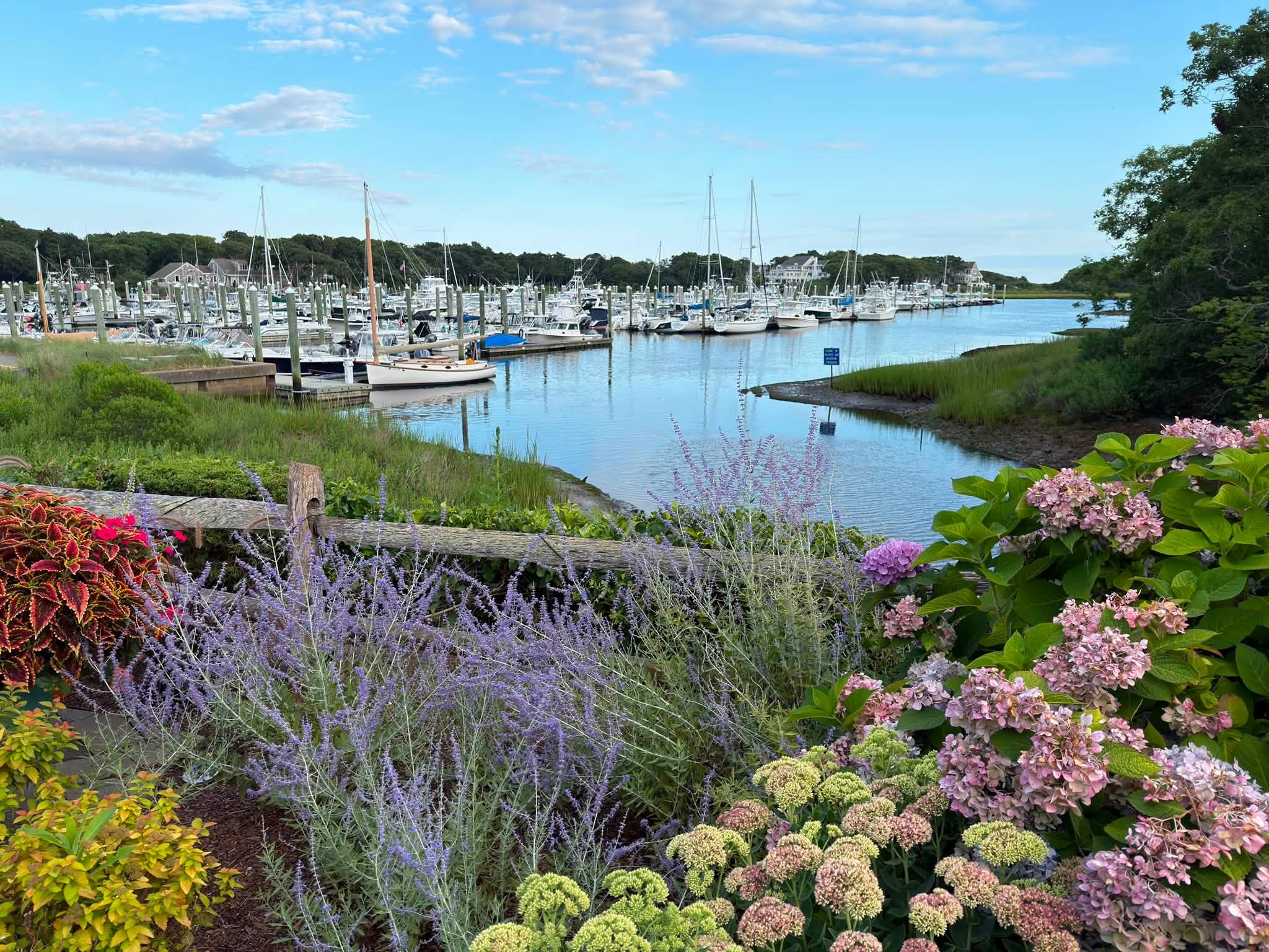 A closer look at Harwich, voted the best town on Cape Cod by Boston.com readers