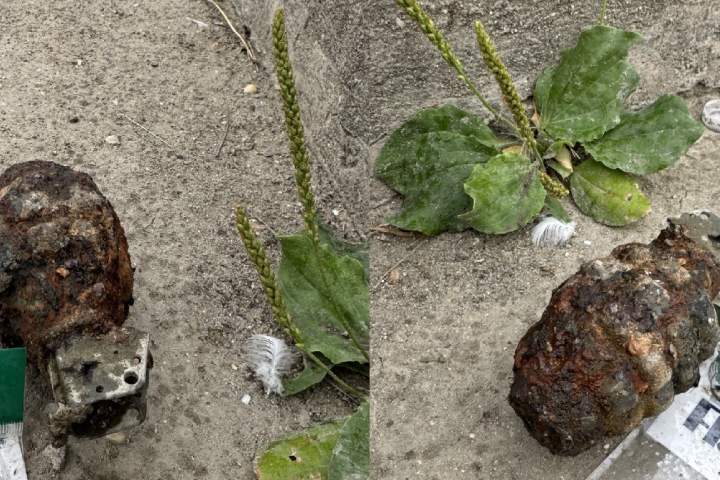 Angler reels in training grenade from Red River in Selkirk: RCMP