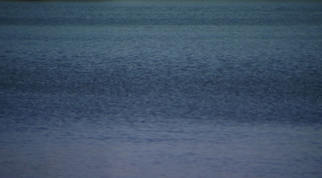 Florida man accused of attempted murder at Miami lobster diving spot