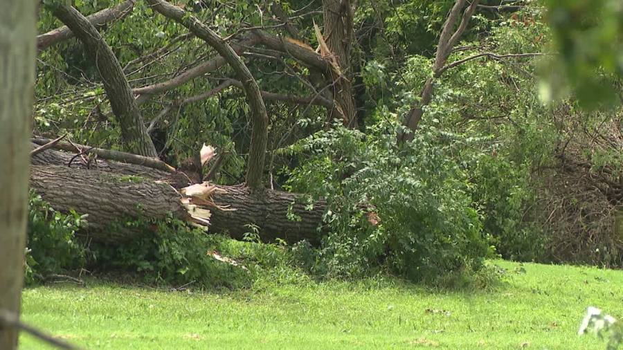 NWS damage survey confirms 100-mph winds in Cass County from Thursday storms