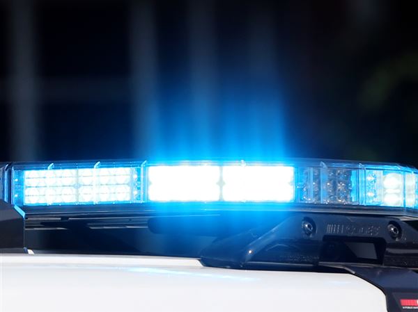 Man who shot alleged car thief pleads to felonious assault