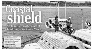 Coastal shield