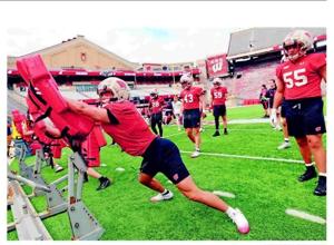 Flipping bowl script