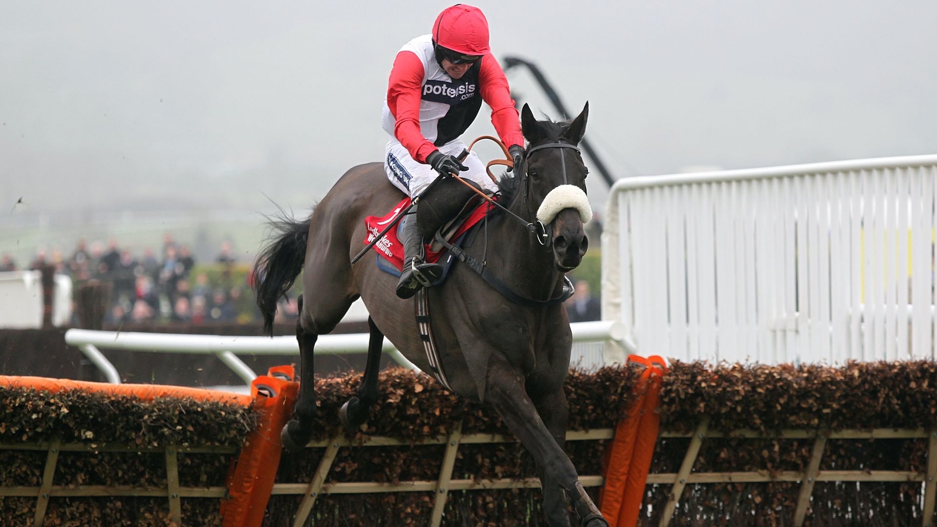 Nicholls pays tribute as Big Buck's dies aged 23
