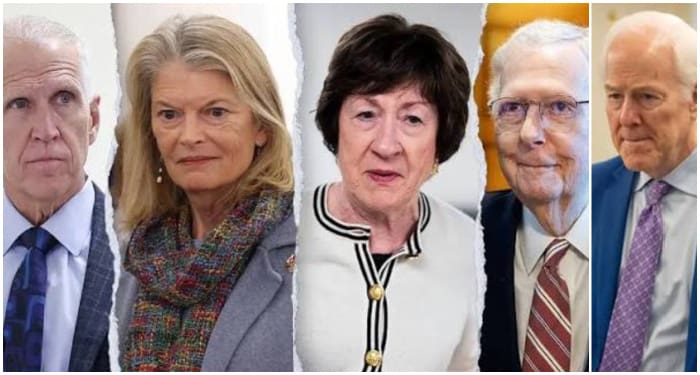 RINOs Are Tanking The Entire Republican Party, Not Just Trump
