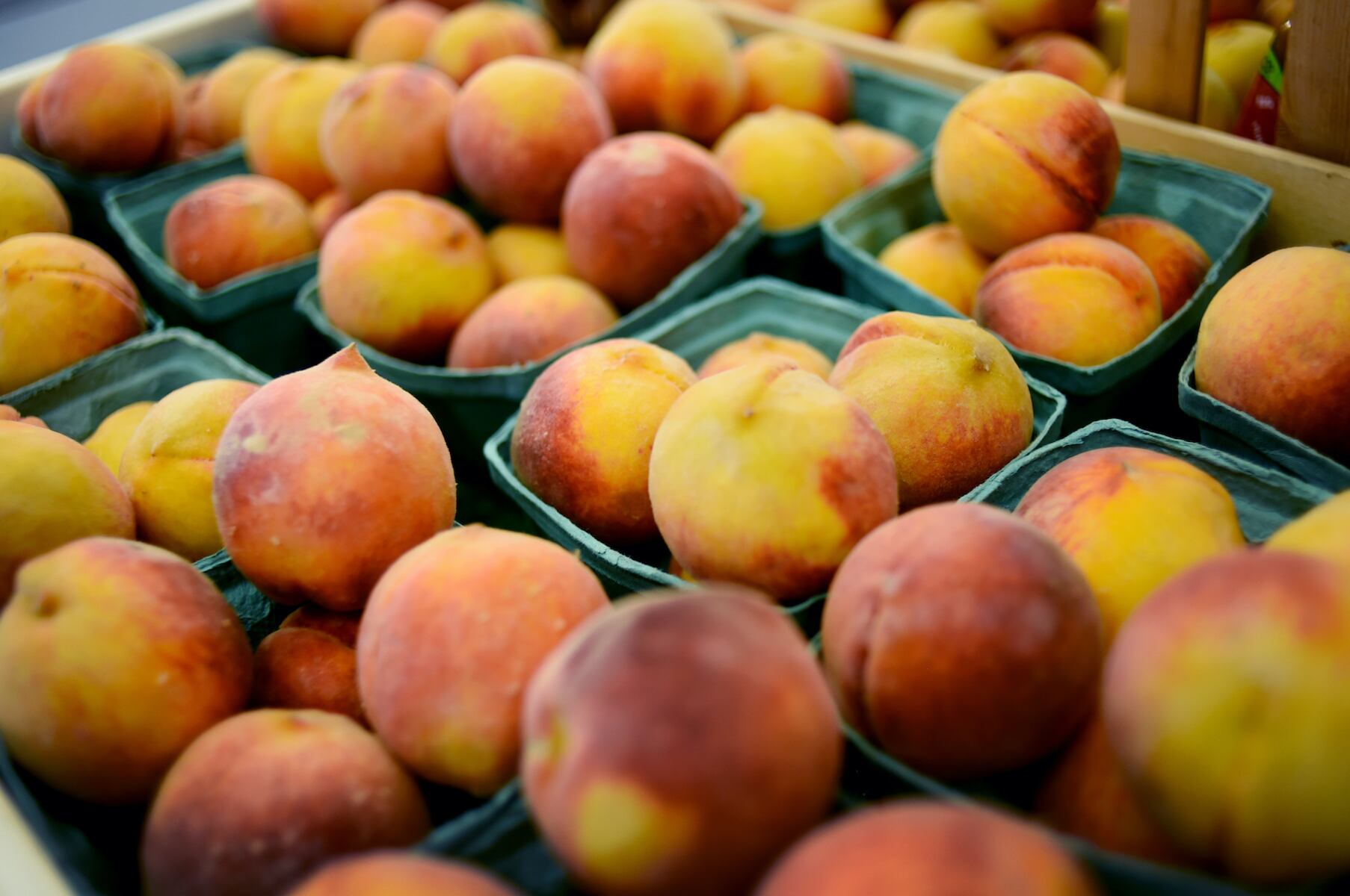 District 6 Farmers Market returns for final event of the summer