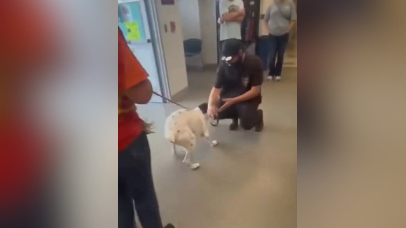 ‘Happy tears’: Owner reunites with missing dog found 8 months later at animal shelter