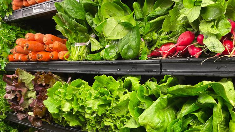 Cyclosporiasis cases climb to nearly 350 in Florida as lettuce sales waver nationwide