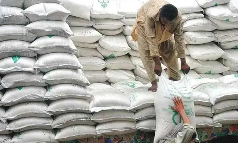 Flour prices rising as govt yet to issue import tender