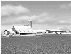Proposal has some appeal in Dairyland