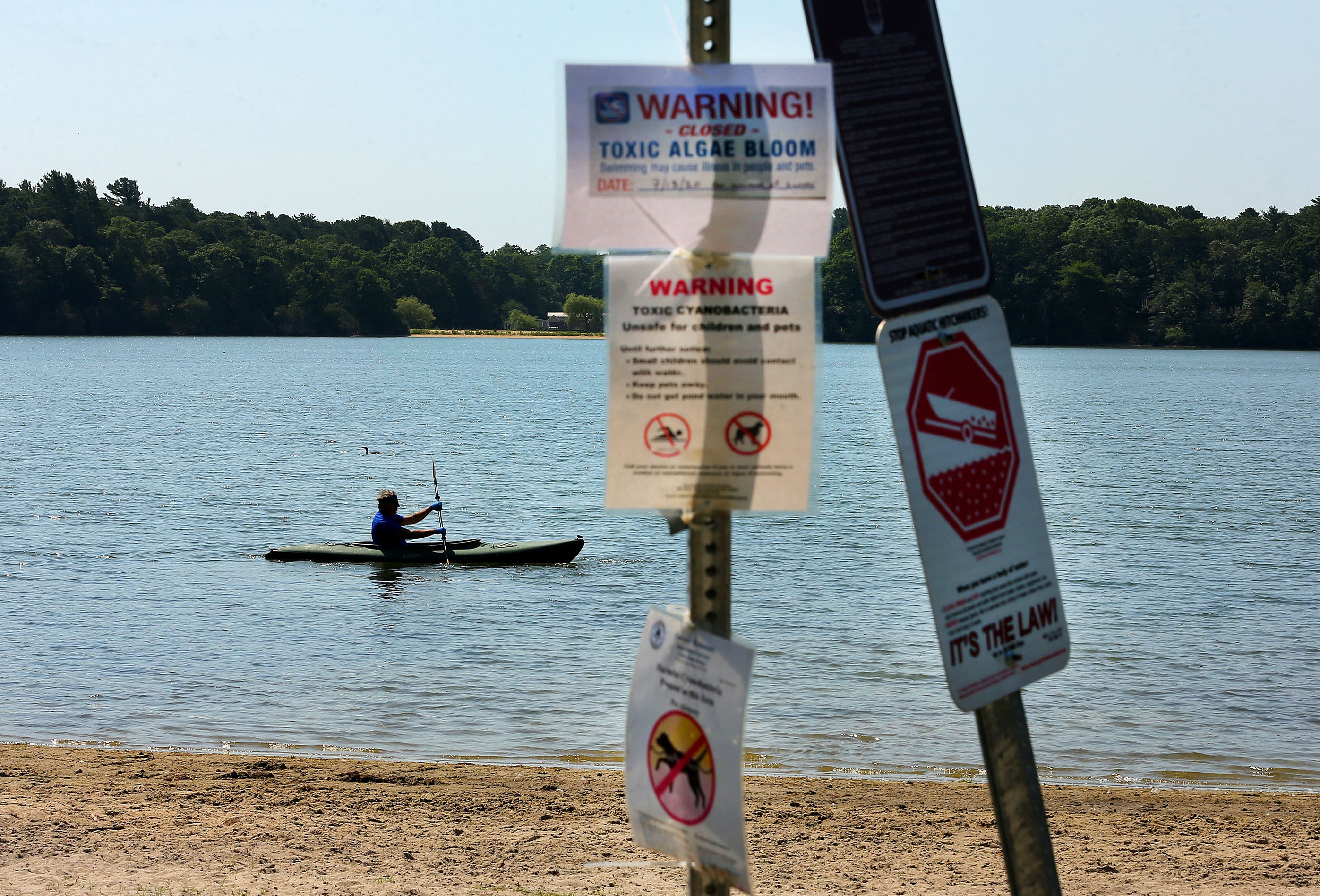 Residents urged to keep pets out of Stoughton pond after dog’s death