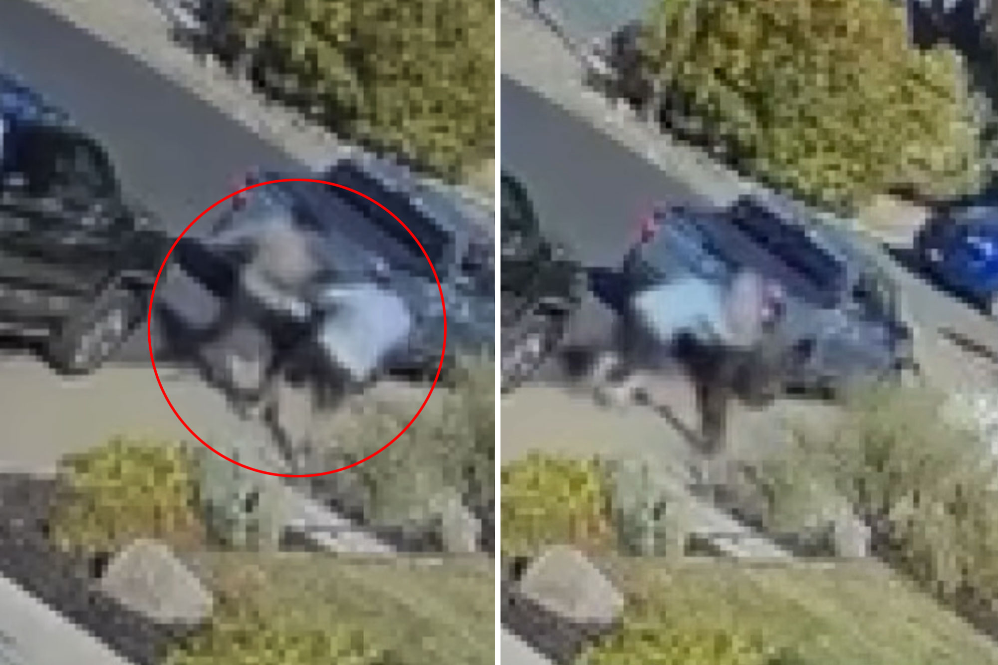 Martinez knifeman who allegedly butchered man on California street was released just a day earlier