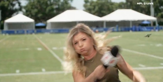 What Big Bug “Attacked” An ESPN Reporter At Rams Camp?