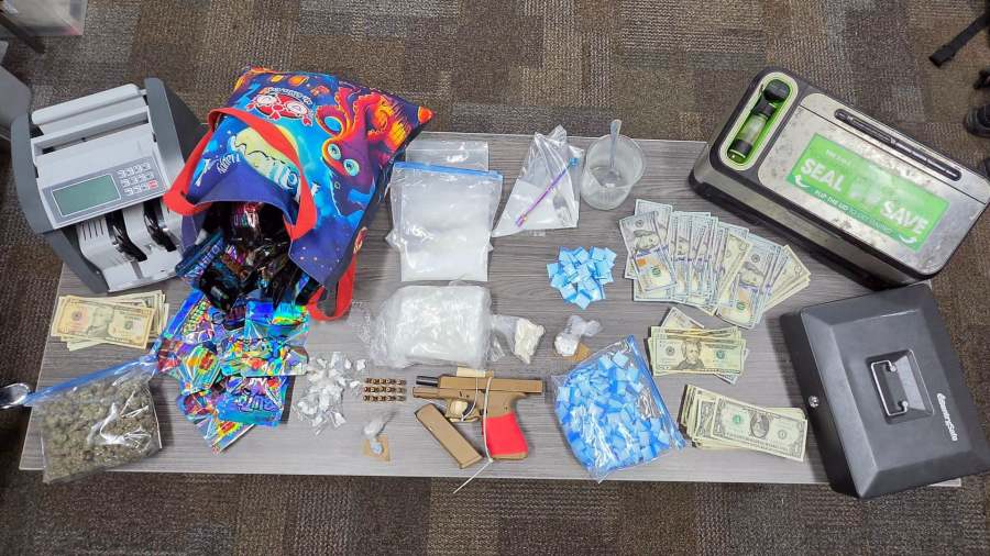 Cocaine, morphine, firearm recovered during Tampa drug bust; man arrested