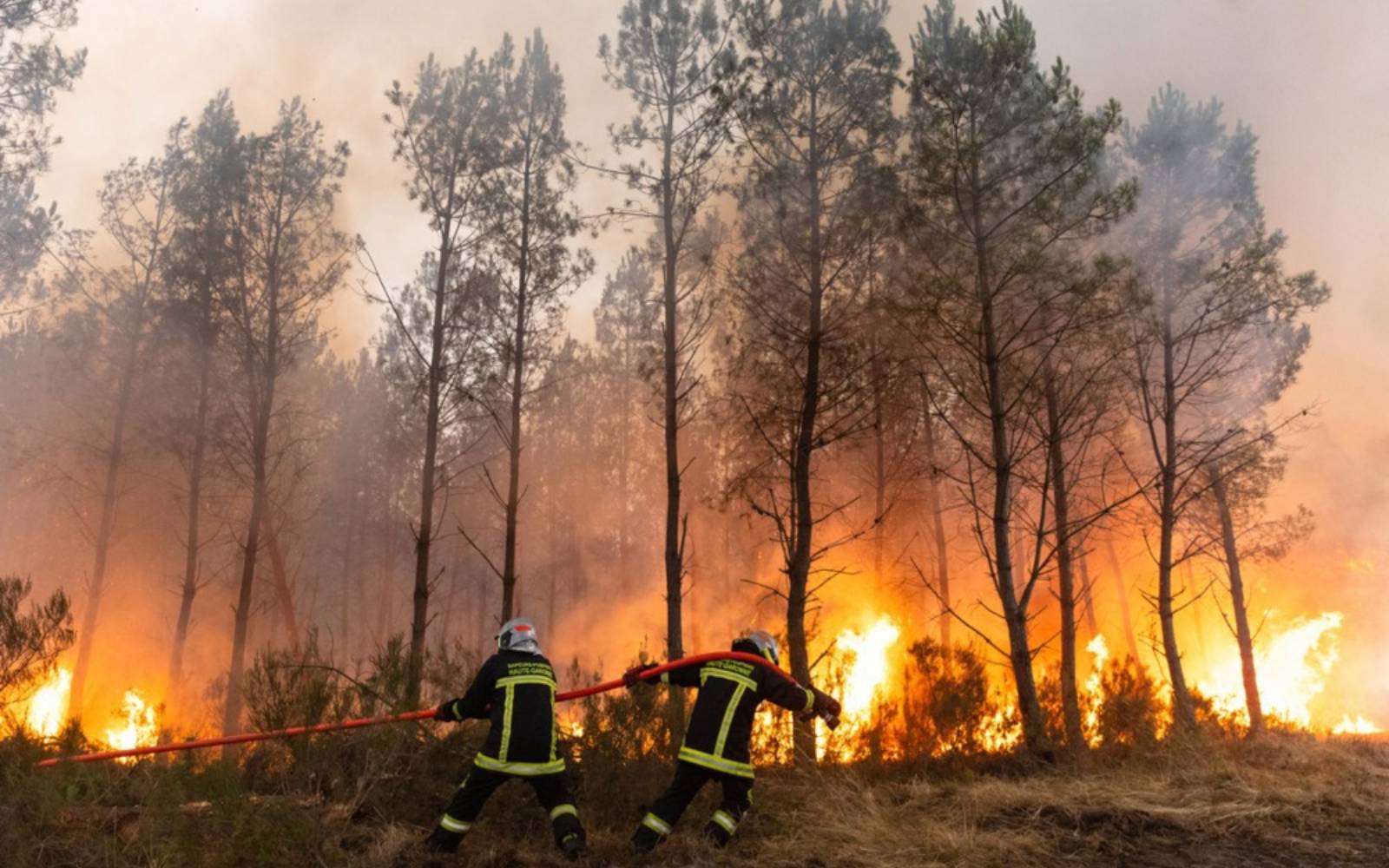 Over 200 firefighters battle blaze in southern France