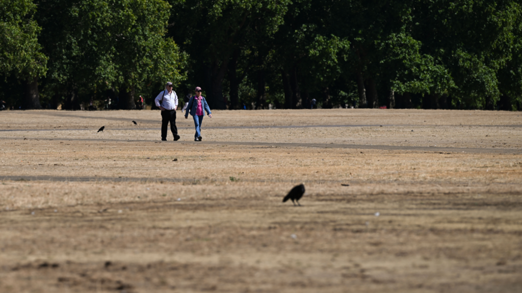 Brief relief ahead of fifth heatwave - as more areas could move into drought
