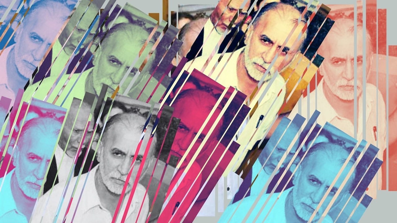 'Idea Of Nailing A Powerful Man More Seductive': Tarun Tejpal's Daughter