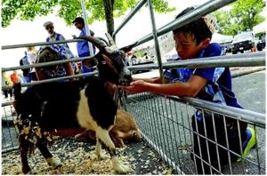 ST. CHARLES JEWISH FESTIVAL CELEBRATES CULTURE, COMMUNITY