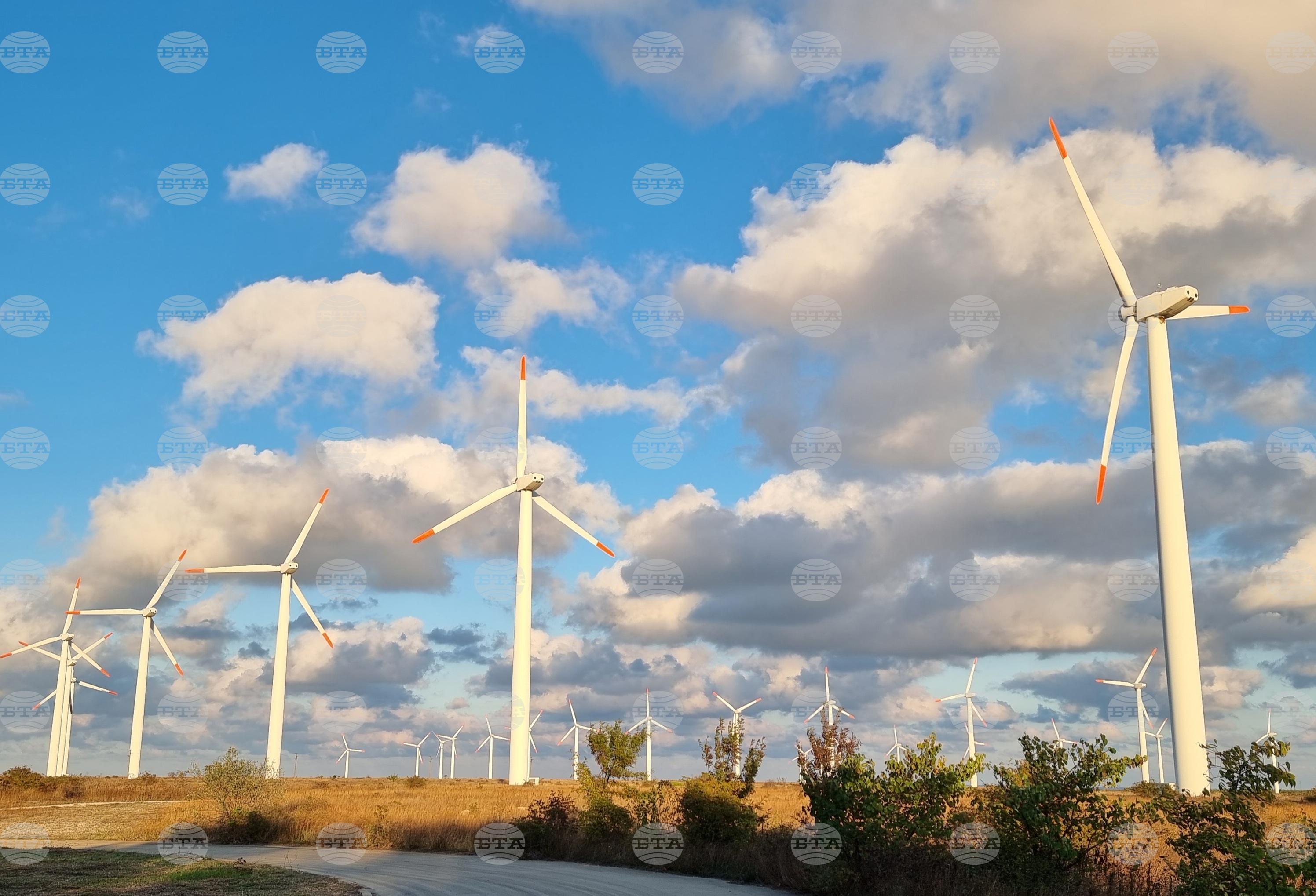 Wind Operators Warn against Excessive Environmental Restrictions on Wind Energy Industry
