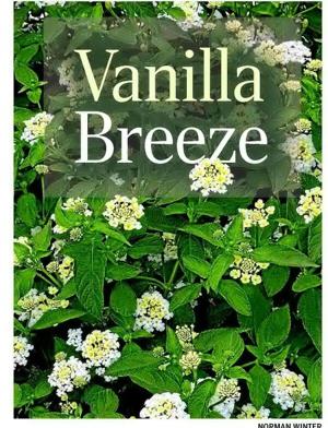 Vanilla Breeze